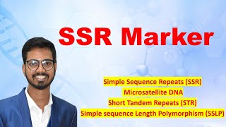 SSR Marker | Simple sequence Repeat Marker | SSLP | Short tandem Repeat (STR)| Microsatellite DNA | Profile