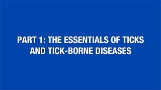 Part 1: The Essentials of Ticks and Tick-Borne Diseases [Hot Topic] screenshot 4