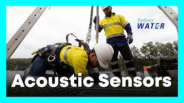 Acoustic sensors helping Sydney Water detect leaks