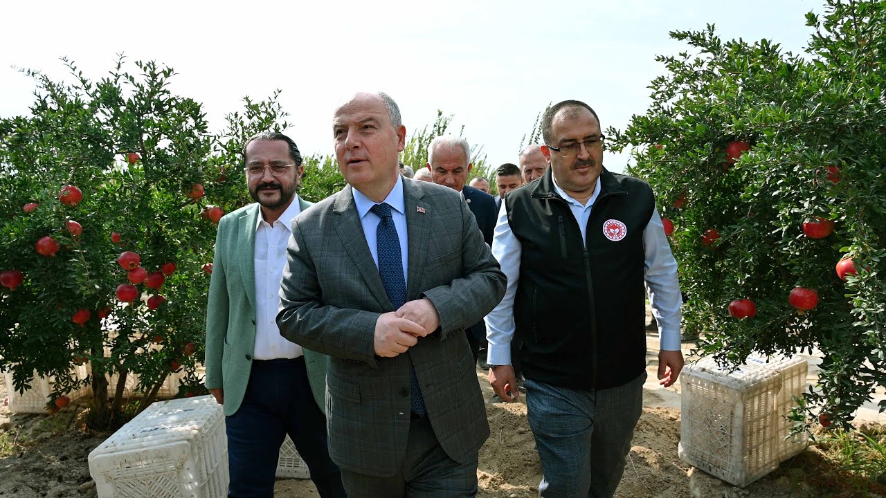 Hasat zamanı pamukkale ırlıganlı