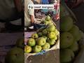 Big mangoes at charminar#mango#mangoes#charminar#streetfood#rawmango#ytshorts#shorts#rawmangoes#love