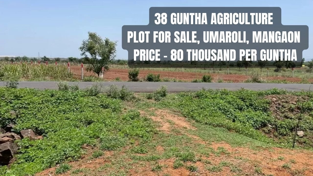 38 Guntha Agriculture Plot For Sale Umaroli Mangaon Raigad 80 38-guntha-agriculture-plot-for-sale-umaroli-mangaon-raigad-80