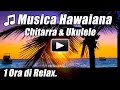 Musica Hawaiana Ukulele Chitarra Acustica di Canzoni Delle Rilassanti Hawaii Studio Strumentale Ora