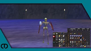 P99 Corelion Equipment Overview