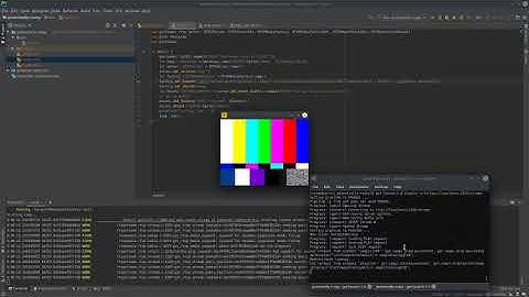 Rust Streams H.264 Video After Reading it from Shared Memory
