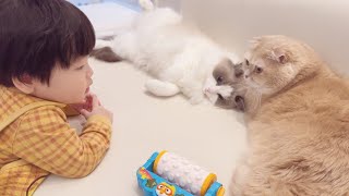 Baby and Cat's Happy Daily Life (1 Week Vlog)