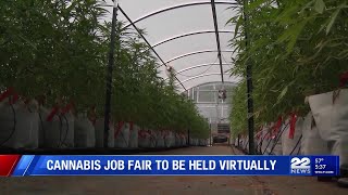 Virtual cannabis career fair connects job seekers with Massachusetts businesses
