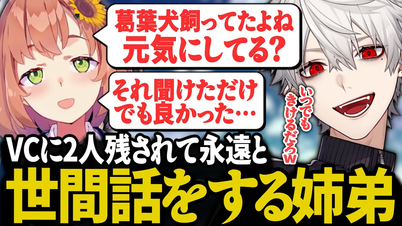 【雑談】ワンさんの話や葛葉の筋トレ事情など、仲良く世間話をする姉弟【にじさんじ/切り抜き/葛葉/本間ひまわり/スト6】