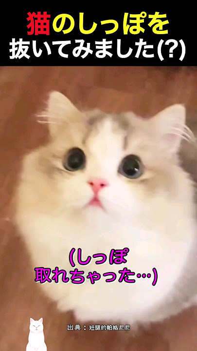 I tried removing the cat's tail(?)