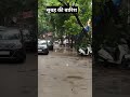 Morning ki barish #youtubeshorts #trending #reels #ytshorts #viralshorts