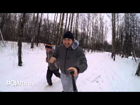 Сила воли день