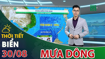 Thời tiết biển 30/08/2021: Mưa dông trên hầu khắp các vùng biển đến hết tháng| VTC14
