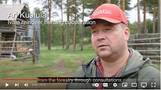 Reindeer and forestry in the Nordic countries