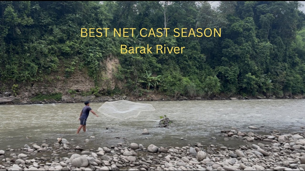 This Ground Bait Trick Never Fails | Barak River | North East Indian style | 🌾