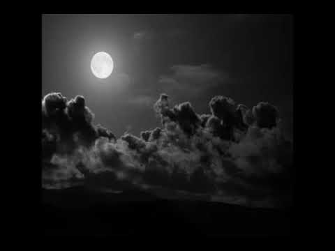 دعاء للموتى محمد البراك