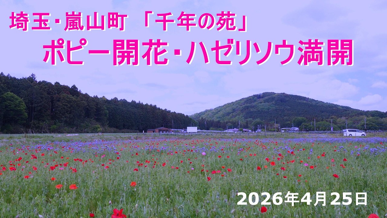 A hidden gem during Golden Week: 
