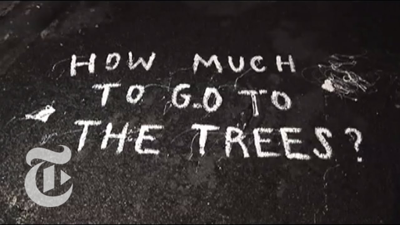 How Much to Go to the Trees | The New York Times - YouTube