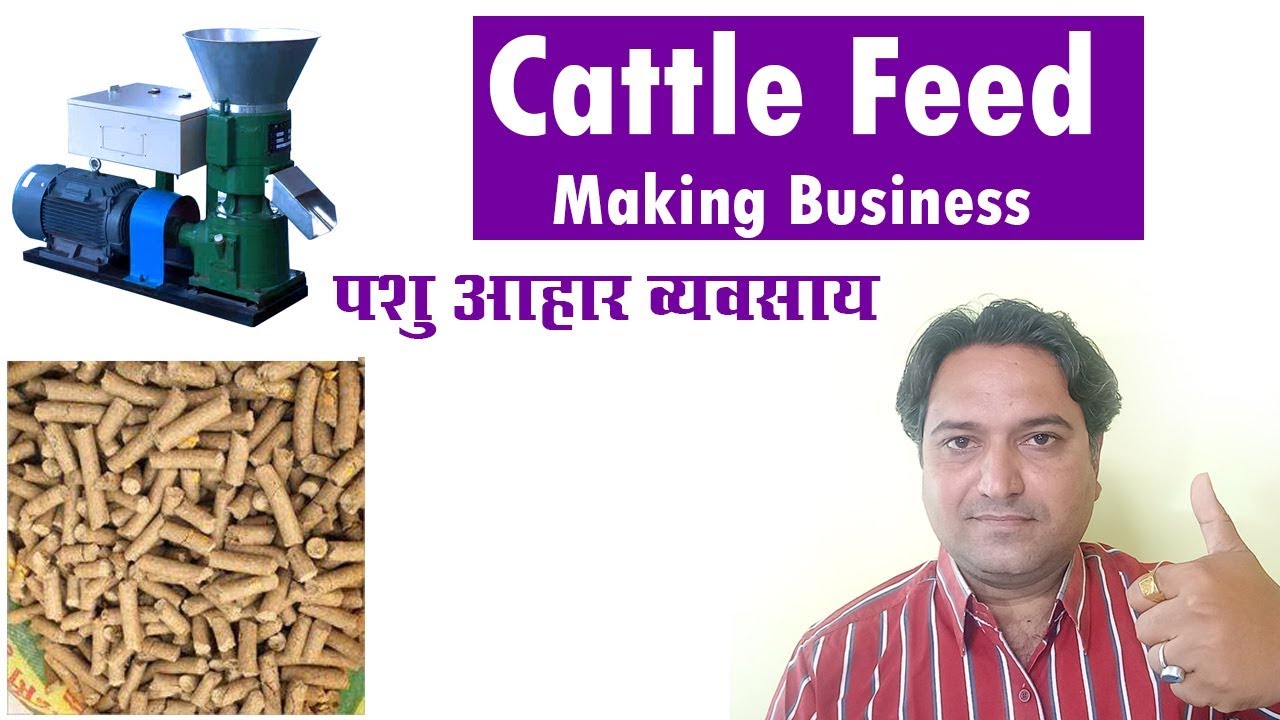 cattle feed business plan in hindi