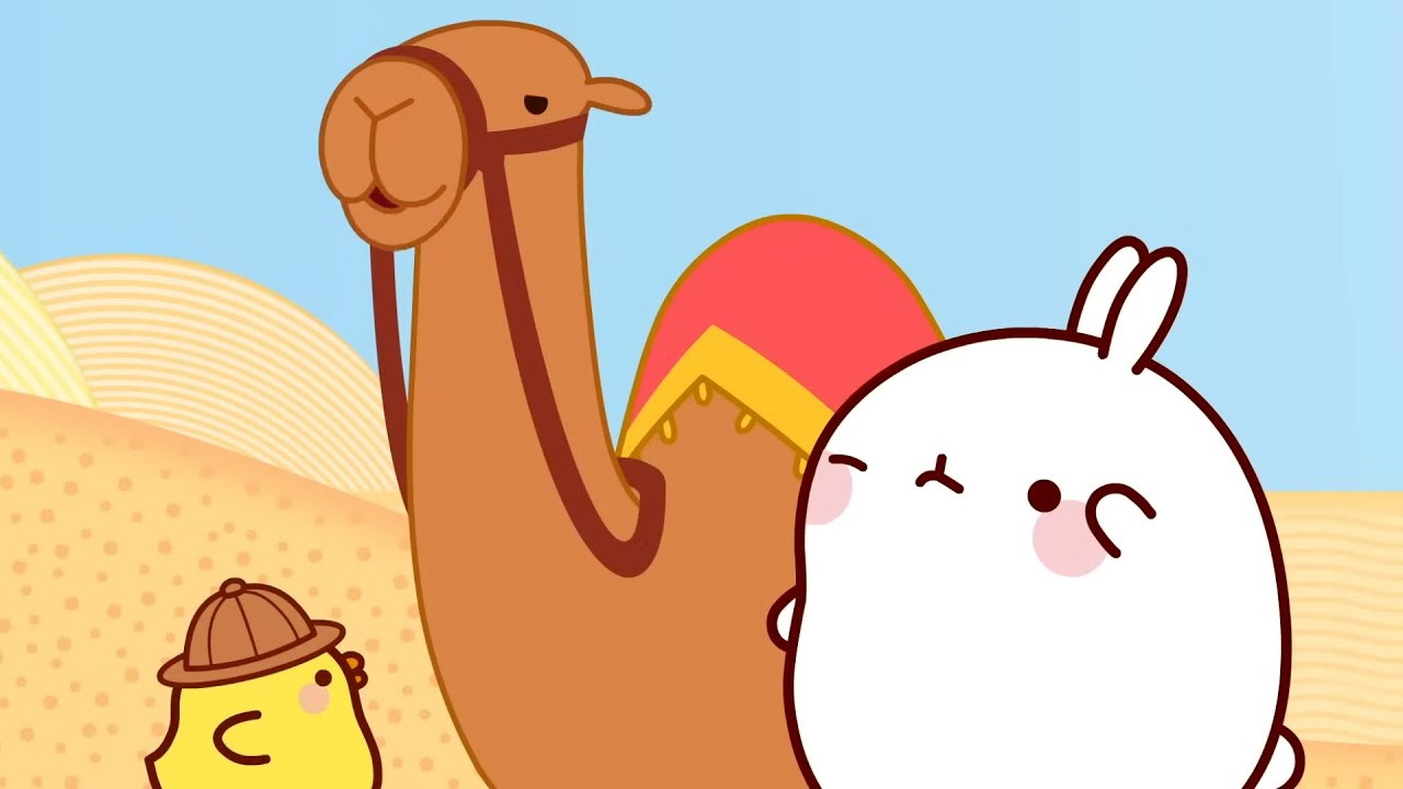 molang-il-cammello-cartone-animato-divertente-per-bambini-molang