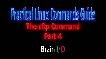04. What is in there? - The ls, dir and lls Commands