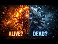 Are Viruses alive or dead? The biological debate.