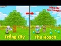 THỬ THÁCH TRỒNG CÂY KIM CƯƠNG, CÂY VÀNG, CÂY SẮT, LÀNG DỊCH BỆNH TRONG MCPE | Thử Thách SlenderMan