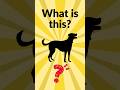 What Is This? 🤔 Guessing Game for Kids#kidsvideo #education #guessinggame #learnenglish #shorts