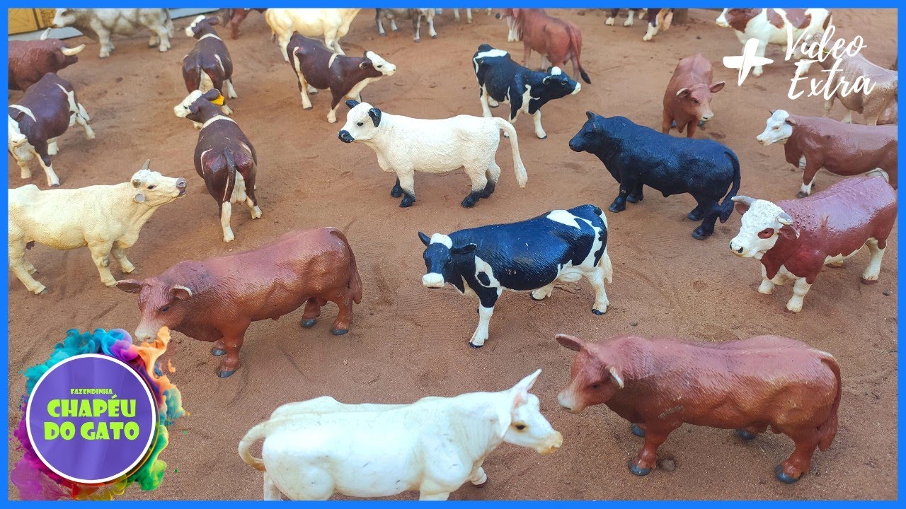 Transportando os Red Angus para a Lida no Brete  Veja o Desembarque!