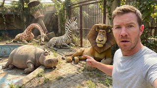 I Found Madagascar Characters In A Zoo Abandoned For 500 Years