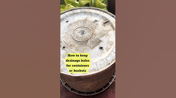 How to keep drainage holes for buckets or containers #gardening #youtubeshorts #gardenplants