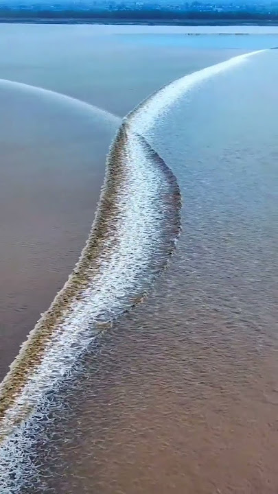 Saiyaara Full Song | Ek Tha Tiger | Salman Khan, Katrina Kaif | Mohit Chauhan, Taraannum, Sohail Sen