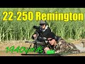 22250 remington at 1940 yards 1774m