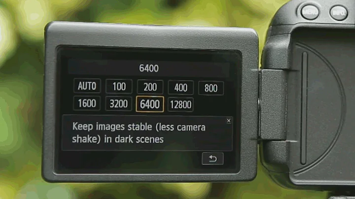 Understanding ISO (sensitivity) - How to Use Your Camera, Part 6