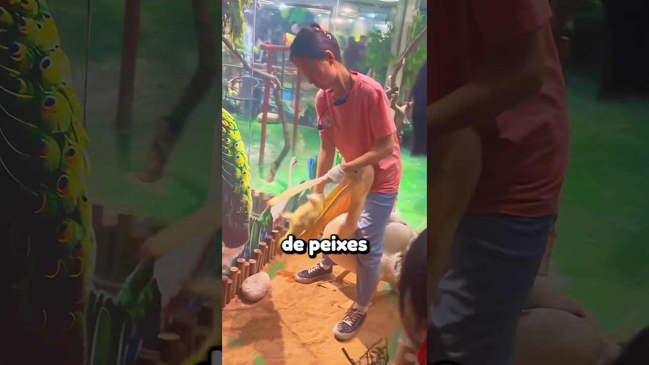 Essa ave tenta comer tudo que vê pela frente 🤯 #aves #passaros #shorts