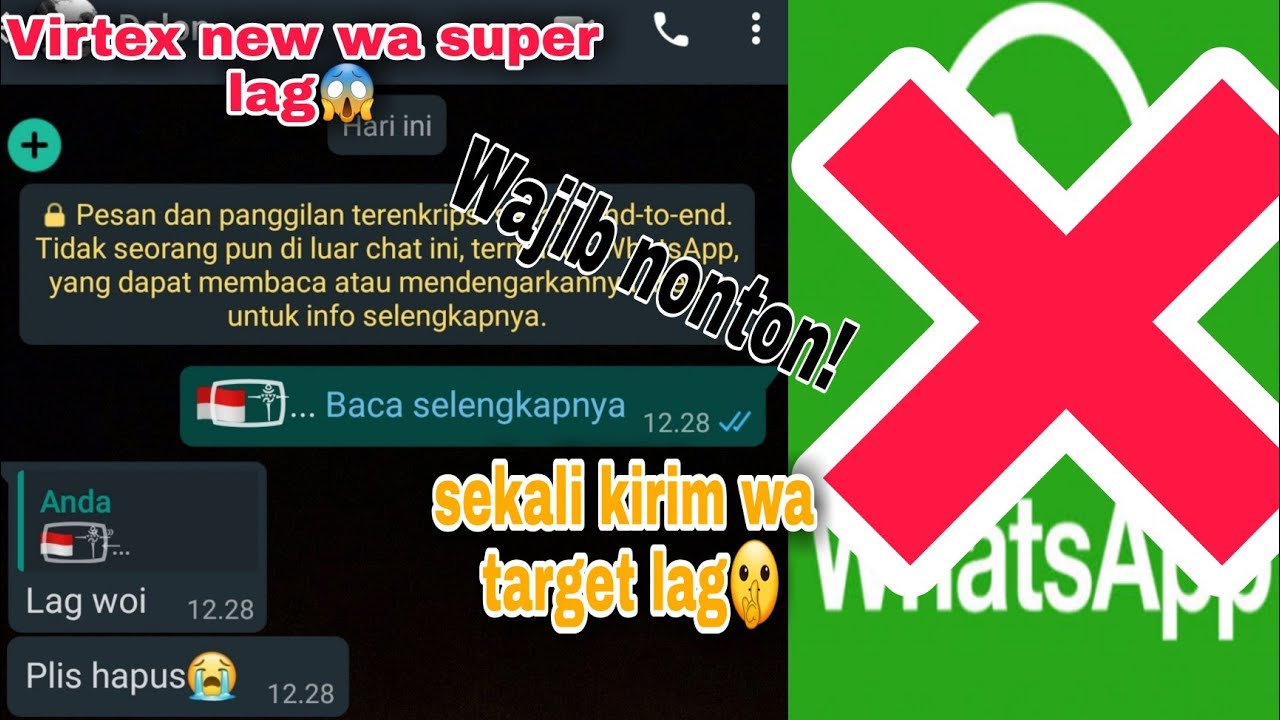 bagi bagi virtex lagi || apakah work? -virtex wa