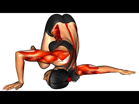 Do These Exercises in The Morning After Waking-Up