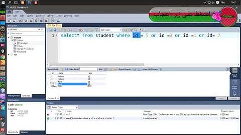 الدرس18 MYSQL انشاء قواعد البيانات طريقة استخدام الشرط  IN