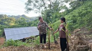 Alone but Determined: She Built the Garden of Her Dreams