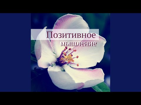 Видео: Каковы преимущества массажа шиацу?