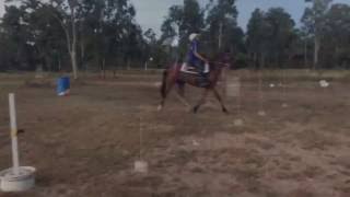Gridwork and balance excercises with Magic