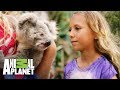La encantadora de koalas | The Dodo: En busca de héroes  | Animal Planet