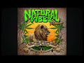 Natural Vibes Riddim Mix 2024, Jah Cure, Busy Signal ,Lutan Fyah ,Turbulence & more