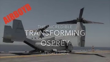 The Incredible Transforming Osprey