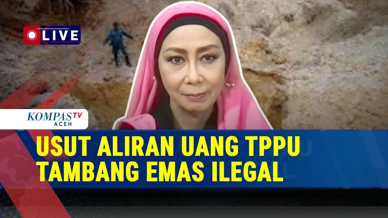 Dugaan Money Laundering dari Tambang Emas Ilegal, Ini Analisis Pakar