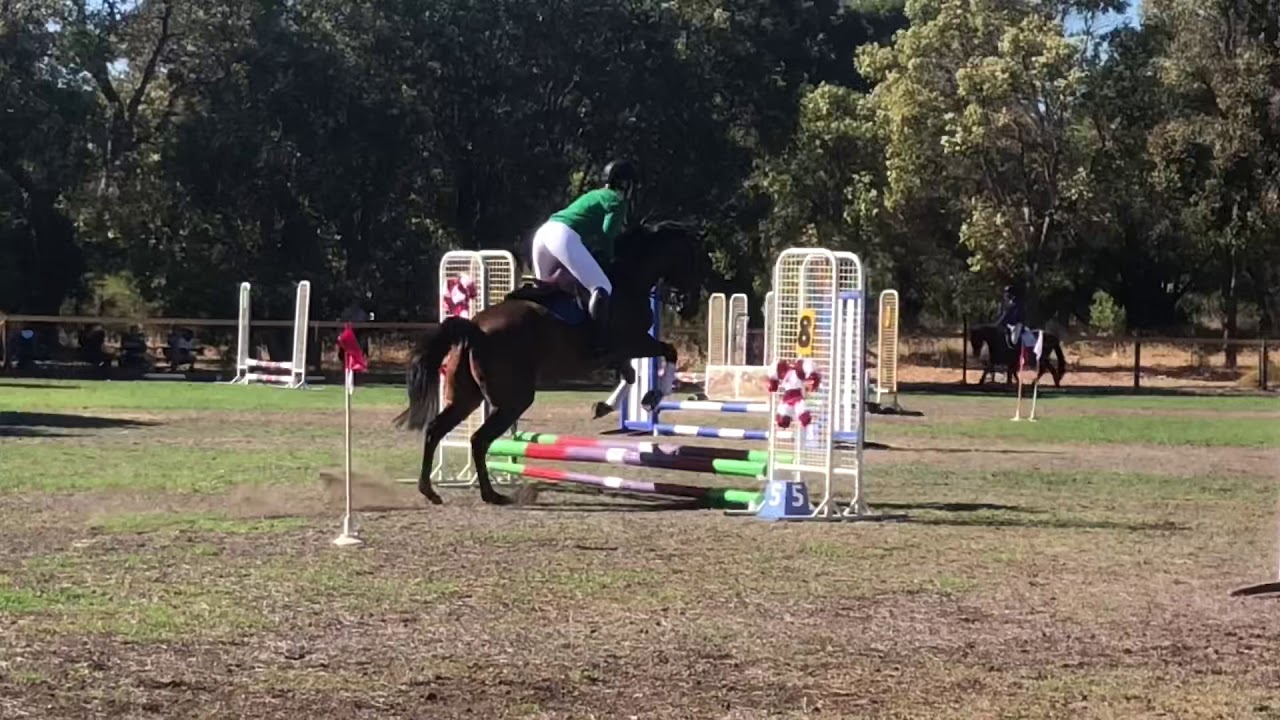 My horse farts every time he jumps YouTube