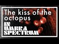 Victor reynart  kiss of the octopus