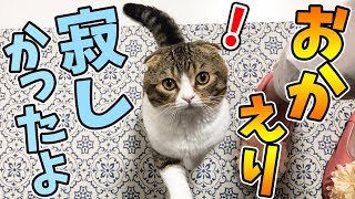 ママが帰ってきた！ご飯をもらってご機嫌な猫♪