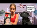 FAMOUS YouTubers Help Name Our PUPPY!! 🐶🐾