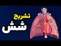 تشریح شش صفر تا صد نکات Moniretajdari تشریح شش صفر تا صد نکات Moniretajdari