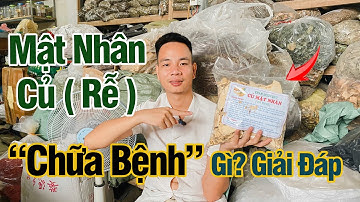 CÂY (RỄ) MẬT NHÂN CHỮA BỆNH GÌ? CÓ CHỮA ĐƯỢC BỆNH GAN KHÔNG? 0976 836 586